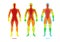 Body temperature vector / warm cold