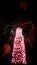Body of a tree with christmas light. Anahaw plant, tree!