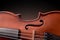 Body of a violin with black gradient background isolated
