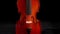 Body of a violin or viola turning at black background