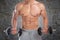 Bodybuilder bodybuilding muscles dumbbells biceps training power