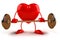 Bodybuilding heart