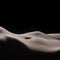Bodyscape of a Nude wet belly
