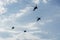 Boeing AH-64 attack helicopters on formation during an air show. Greek Air Force Apache flying on Thessaloniki, Greece during the