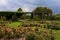 Boerner Botanical Gardens Rose Garden   820241