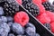 Bog bilberries, raspberry and blackberry