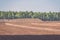 bog and the field on which the production is carried out in black peat mining - vintage film look