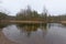 Bog with island with trees reflecting in the water in a forest in Estonia