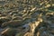 Bog land of the Orkney Islands in Winter