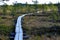 Bog landscape