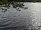 Bog landscape, bog lake, reflections,