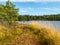 Bog landscape, bog lake, reflections,