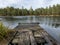 Bog landscape, bog lake, reflections, bog pines, old wooden footbridge