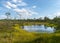 Bog landscape with bog trees, lake, grass and moss. Cloud reflections on the surface of the lake, a step on the bog, autumn colors