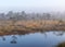 Bog landscape in the morning mist, fuzzy swamp contours of pine, reflections in the bog lake, bog vegetation, sunrise over the