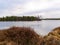 Bog landscape with red mosses, small bog pines