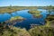 bog landscape, spring-colored bog vegetation, small bog lakes, islands covered with small bog pines, grass, moss