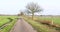 Bog landscape with sunshine in Recke, Germany