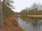 Bog with reed and trees reflecting in the water in a forest in Estonia