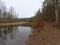 Bog with reed and trees reflecting in the water in a forest in Estonia