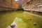 Bog in spectacular canyon