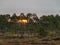 The bog vegetation, bog grass and moss in the foreground, forest silhouette on the colorful sky in the background, moment of