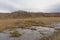 Bog, wetland fields and birch forest on Pakri Peninsula, Paldiski, Estonia