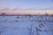 Bog in Winter