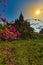 Bogainvillea flowers and beautiful Stupa, Bagan Myanmar