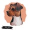 Boggle Dog cross breed of Boston Terrier and Beagle isolated digital art illustration. Hand drawn dog muzzle portrait, puppy cute