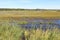 Boggy plain in an early autumn