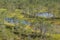 Bogs in Lahemaa National Park