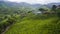 Boh Tea Plantation in Cameron Highland