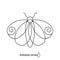 Bohemian butterfly line logo. Lightness concept. Minimal wildlife emblem. Elegant badge for company. Vector illustration