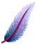Bohemian elegant feather. Multicolor gradient smooth quill