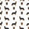 Bohemian shepherd seamless pattern. Different coat colors and poses set