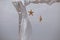 Bohemian wedding decor, two sea stars hanging on arch.