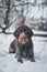 Bohemian wirehaired pointing griffon dog sitting in the snow resembling a snowman. The dog is licking his muzzle and whiskers