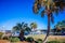 Bohiket marina with boats near kiawah island