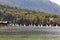 Bohinj Lake landscape with single sailing yachts, Slovenia.