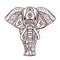 Boho Black elephant. Vector illustration. Floral design