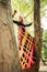 Boho girl in long colorful dress stand on tree in park summer d