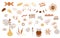 Boho icon set. Boho highlights cover. Bohemian abstract shapes clipart in terracotta color earth tone elements shapes