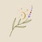 Boho minimalistic tiny lavender branch logo or label vector illustration