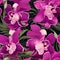 Boho orchid pattern