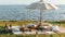 a boho picnic setup on lush grass near the ocean, featuring a cozy table set for two and a charming umbrella casting