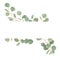Boho realistic eucalyptus floral wedding vector frame. Watercolor tropical greenery branches border template