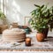 Boho styled room interior, green houseplants and natural home decor