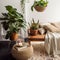 Boho styled room interior, green houseplants and natural home decor