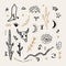 Boho western desert cartoon set. Cowboy boot, bull animal skull, chili pepper, snake, cacti and zodiac astrology symbols